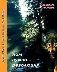 Читайте книги онлайн на Bookidrom.ru! Бесплатные книги в одном клике Александр Глазунов - Нам нужна… революция