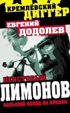 Евгений Додолев - Неистовый Лимонов. Большой поход на Кремль