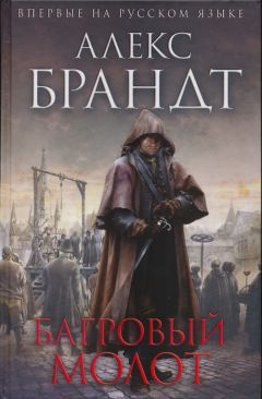 Читайте книги онлайн на Bookidrom.ru! Бесплатные книги в одном клике Алекс Брандт - Багровый молот