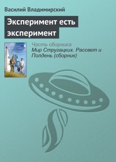 Читайте книги онлайн на Bookidrom.ru! Бесплатные книги в одном клике Василий Владимирский - Эксперимент есть эксперимент