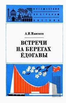 Читайте книги онлайн на Bookidrom.ru! Бесплатные книги в одном клике Анатолий Мамонов - Встречи на берегах Ёдогавы