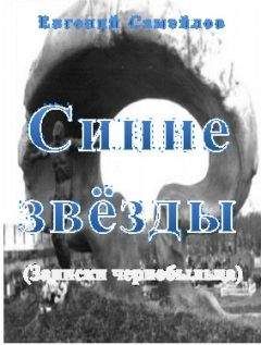 Читайте книги онлайн на Bookidrom.ru! Бесплатные книги в одном клике Евгений Самойлов - Синие звзёды