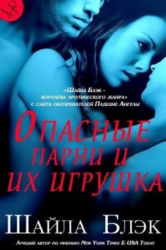 Читайте книги онлайн на Bookidrom.ru! Бесплатные книги в одном клике Шелли Брэдли - Опасные парни и их игрушка