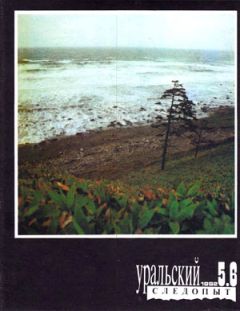 Читайте книги онлайн на Bookidrom.ru! Бесплатные книги в одном клике Александр Кракало - Слепые котята