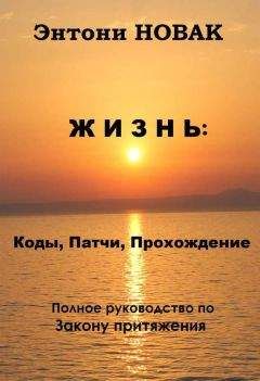 Читайте книги онлайн на Bookidrom.ru! Бесплатные книги в одном клике Энтони Новак - Жизнь: Коды, патчи, прохождение. Полное руководство по Закону притяжения