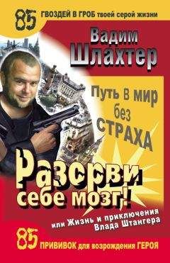 Читайте книги онлайн на Bookidrom.ru! Бесплатные книги в одном клике Вадим Шлахтер - Разорви себе мозг! Путь в мир без страха, или Жизнь и приключения Влада Штангера