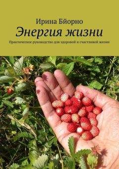 Читайте книги онлайн на Bookidrom.ru! Бесплатные книги в одном клике Ирина Бйорно - Энергия жизни