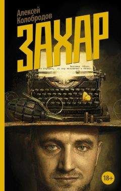 Читайте книги онлайн на Bookidrom.ru! Бесплатные книги в одном клике Алексей Колобродов - Захар