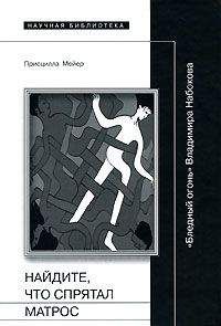 Читайте книги онлайн на Bookidrom.ru! Бесплатные книги в одном клике Присцилла Мейер - Найдите, что спрятал матрос: "Бледный огонь" Владимира Набокова