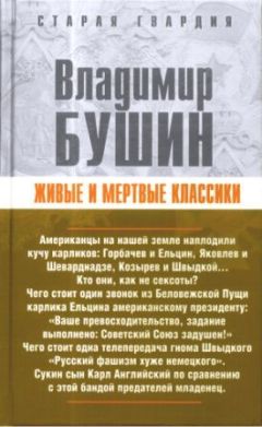 Читайте книги онлайн на Bookidrom.ru! Бесплатные книги в одном клике Владимир Бушин - Живые и мертвые классики