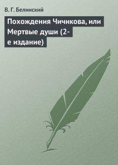 Читайте книги онлайн на Bookidrom.ru! Бесплатные книги в одном клике Виссарион Белинский - Похождения Чичикова, или Мертвые души (2-е издание)