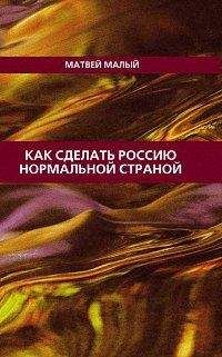 Читайте книги онлайн на Bookidrom.ru! Бесплатные книги в одном клике Матвей Малый - Как сделать Россию нормальной страной