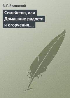 Читайте книги онлайн на Bookidrom.ru! Бесплатные книги в одном клике Виссарион Белинский - Семейство, или Домашние радости и огорчения. Роман шведской писательницы Фредерики Бремер…