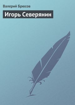 Читайте книги онлайн на Bookidrom.ru! Бесплатные книги в одном клике Валерий Брюсов - Игорь Северянин