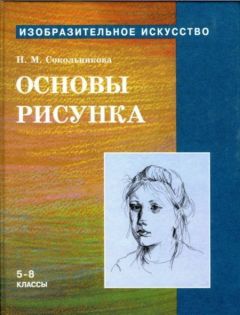 Читайте книги онлайн на Bookidrom.ru! Бесплатные книги в одном клике Наталья Сокольникова - Основы рисунка для учащихся 5-8 классов