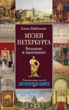 Читайте книги онлайн на Bookidrom.ru! Бесплатные книги в одном клике Елена Первушина - Музеи Петербурга. Большие и маленькие