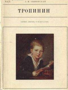 Читайте книги онлайн на Bookidrom.ru! Бесплатные книги в одном клике Александра Амшинская - Тропинин