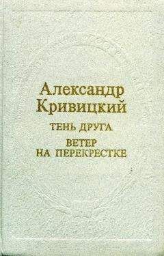 Читайте книги онлайн на Bookidrom.ru! Бесплатные книги в одном клике Александр Кривицкий - Тень друга. Ветер на перекрестке