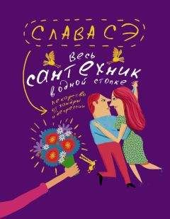 Читайте книги онлайн на Bookidrom.ru! Бесплатные книги в одном клике Слава Сэ - Весь сантехник в одной стопке (сборник)