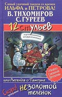 Читайте книги онлайн на Bookidrom.ru! Бесплатные книги в одном клике Валерий Тихомиров - 12 ульев, или Легенда о Тампуке