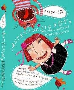 Читайте книги онлайн на Bookidrom.ru! Бесплатные книги в одном клике Слава Сэ - Сантехник, его кот, жена и другие подробности