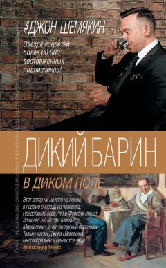 Читайте книги онлайн на Bookidrom.ru! Бесплатные книги в одном клике Джон Шемякин - Дикий барин в диком поле (сборник)