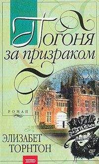 Читайте книги онлайн на Bookidrom.ru! Бесплатные книги в одном клике Элизабет Торнтон - Погоня за призраком