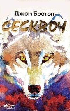 Читайте книги онлайн на Bookidrom.ru! Бесплатные книги в одном клике Джон Бостон - Сесквоч