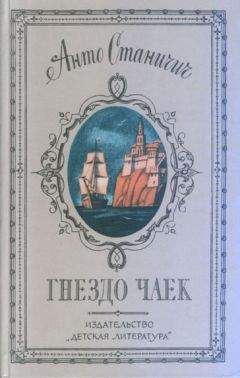 Читайте книги онлайн на Bookidrom.ru! Бесплатные книги в одном клике Анто Станичич - Гнездо чаек