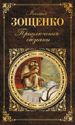 Читайте книги онлайн на Bookidrom.ru! Бесплатные книги в одном клике Михаил Зощенко - Приключения обезьяны (сборник)