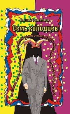Читайте книги онлайн на Bookidrom.ru! Бесплатные книги в одном клике Дмитрий Стародубцев - Семь колодцев