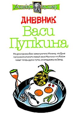 Читайте книги онлайн на Bookidrom.ru! Бесплатные книги в одном клике Алекс Экслер - Дневник Васи Пупкина