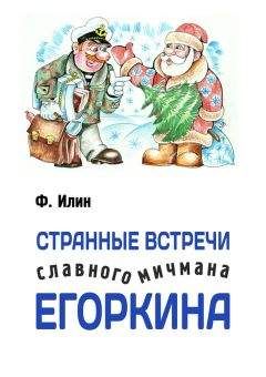 Читайте книги онлайн на Bookidrom.ru! Бесплатные книги в одном клике Ф. Илин - Странные встречи славного мичмана Егоркина