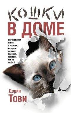 Читайте книги онлайн на Bookidrom.ru! Бесплатные книги в одном клике Дорин Тови - Кошки в доме (сборник)