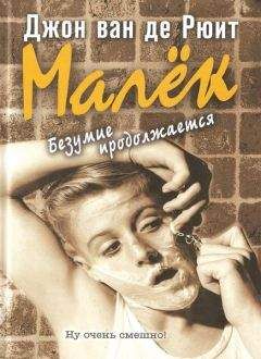 Читайте книги онлайн на Bookidrom.ru! Бесплатные книги в одном клике Джон ван де Рюит - Малёк. Безумие продолжается