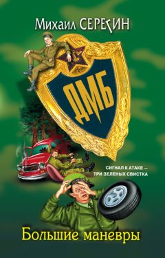 Читайте книги онлайн на Bookidrom.ru! Бесплатные книги в одном клике Михаил Серегин - Большие маневры