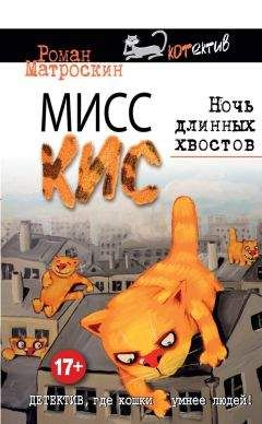 Читайте книги онлайн на Bookidrom.ru! Бесплатные книги в одном клике Роман Матроскин - Мисс Кис. Ночь длинных хвостов
