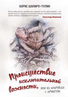 Читайте книги онлайн на Bookidrom.ru! Бесплатные книги в одном клике Борис Шапиро-Тулин - Происшествие исключительной важности, или Из Бобруйска с приветом