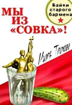 Читайте книги онлайн на Bookidrom.ru! Бесплатные книги в одном клике Игорь - Мы из «Совка»!!! Байки старого бармена.