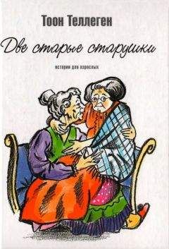 Читайте книги онлайн на Bookidrom.ru! Бесплатные книги в одном клике Тоон Теллеген - Две старые старушки