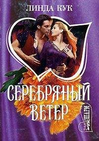 Читайте книги онлайн на Bookidrom.ru! Бесплатные книги в одном клике Линда Кук - Серебряный ветер