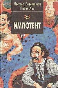 Читайте книги онлайн на Bookidrom.ru! Бесплатные книги в одном клике Павел Асс - Дык, или Как московские Митьки достали питерских