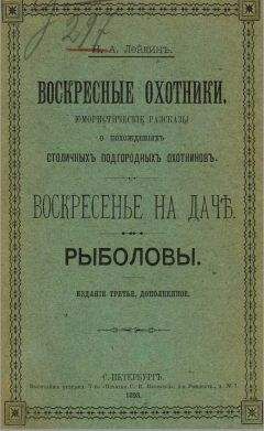 Читайте книги онлайн на Bookidrom.ru! Бесплатные книги в одном клике Николай Лейкин - Воскресенье на даче