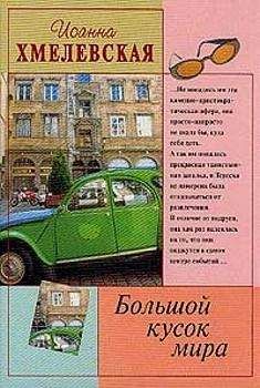 Читайте книги онлайн на Bookidrom.ru! Бесплатные книги в одном клике Иоанна Хмелевская - Большой кусок мира [Большой кусок света]