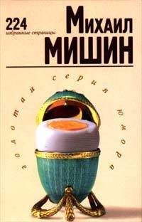 Читайте книги онлайн на Bookidrom.ru! Бесплатные книги в одном клике Михаил Мишин - 224 избранные страницы