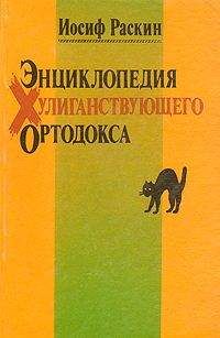 Читайте книги онлайн на Bookidrom.ru! Бесплатные книги в одном клике Иосиф Раскин - Энциклопедия Хулиганствующего Ортодокса