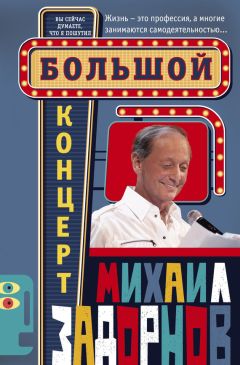 Читайте книги онлайн на Bookidrom.ru! Бесплатные книги в одном клике Михаил Задорнов - Большой концерт