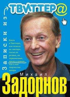 Читайте книги онлайн на Bookidrom.ru! Бесплатные книги в одном клике Михаил Задорнов - Записки из Твиттера