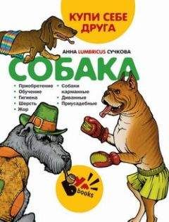 Читайте книги онлайн на Bookidrom.ru! Бесплатные книги в одном клике Анна Сучкова - Купи себе друга: собака