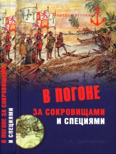 Читайте книги онлайн на Bookidrom.ru! Бесплатные книги в одном клике Тимур Дмитричев - В погоне за сокровищами и специями